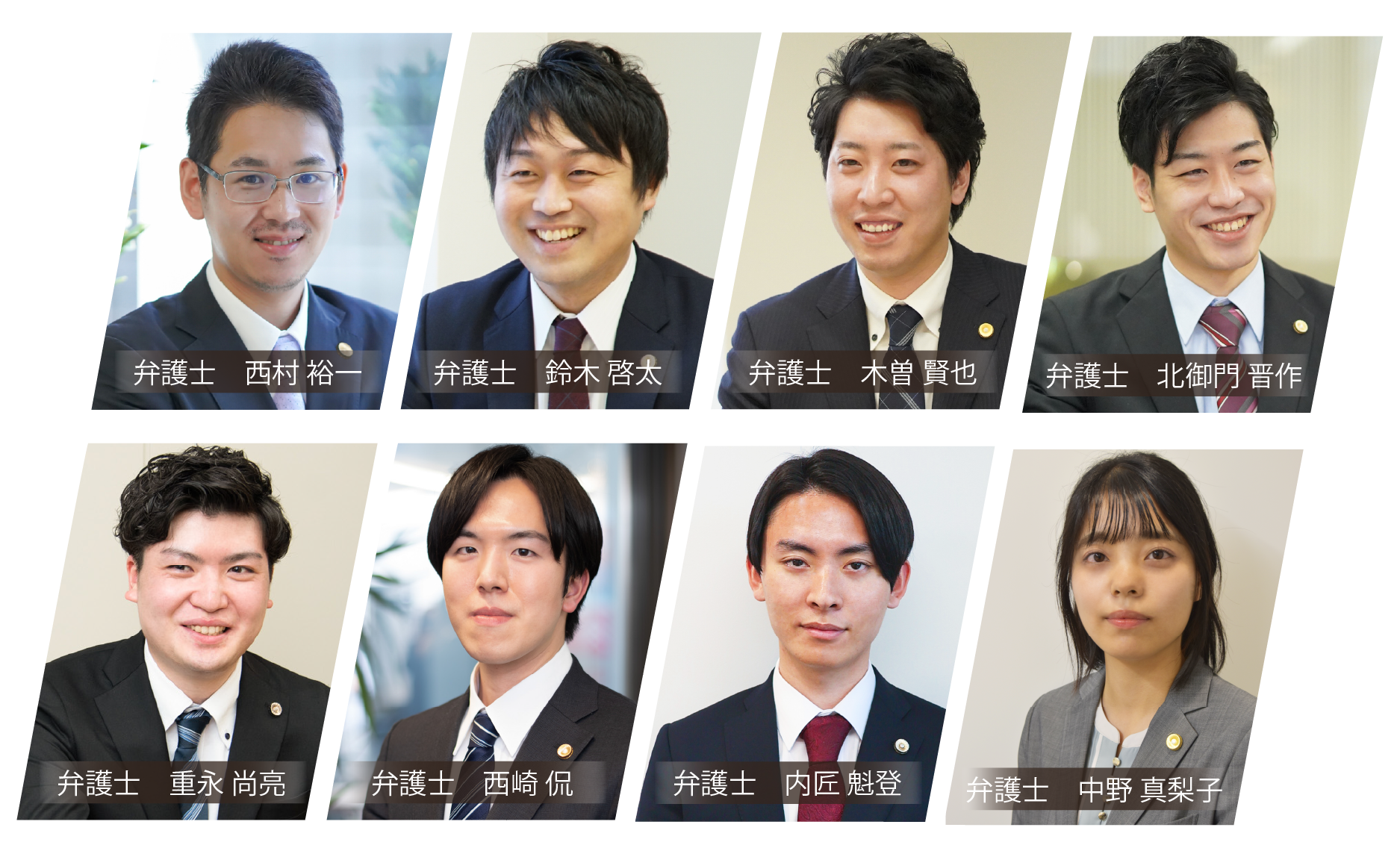 デイライト法律事務所 交通事故チーム弁護士