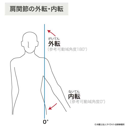 肩関節外転内転の図