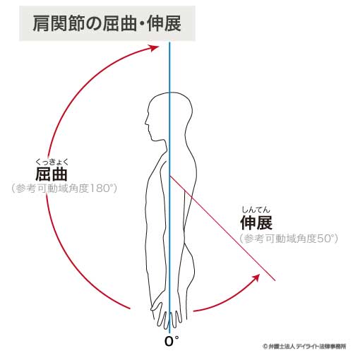 肩関節屈曲伸展の図