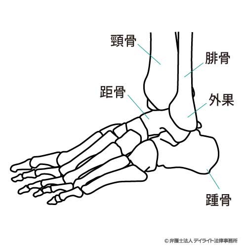 足関節のイメージ