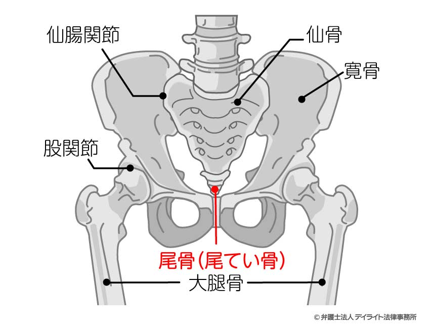 尾てい骨 に ヒビ