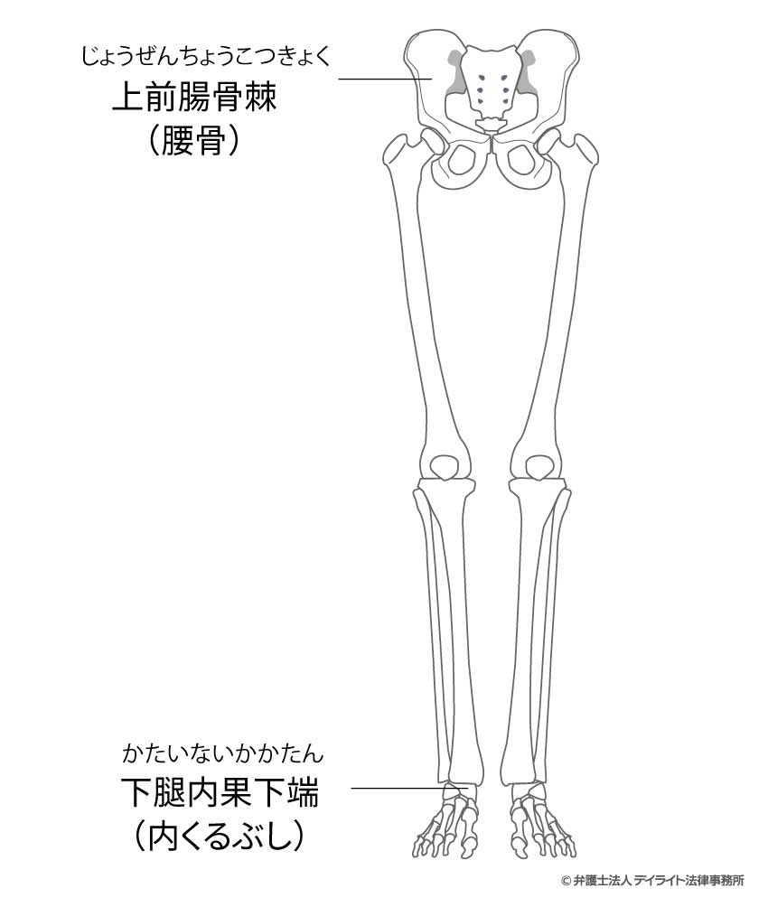 上前腸骨棘と下腿内果下端