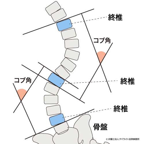コブ法とは