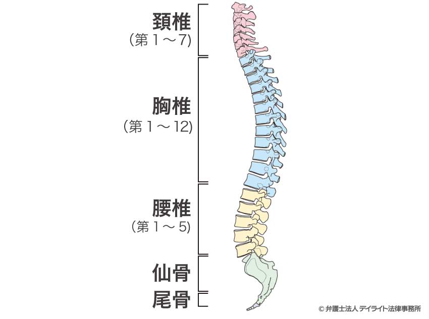 変形障害とは