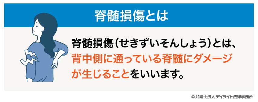 脊髄損傷とは