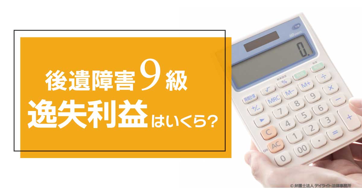 詳説後遺障害: 等級認定と逸失利益算定の実務 | 北河 隆之 |本
