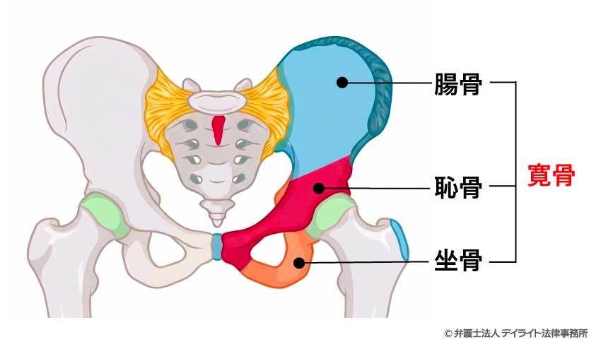 寛骨とは