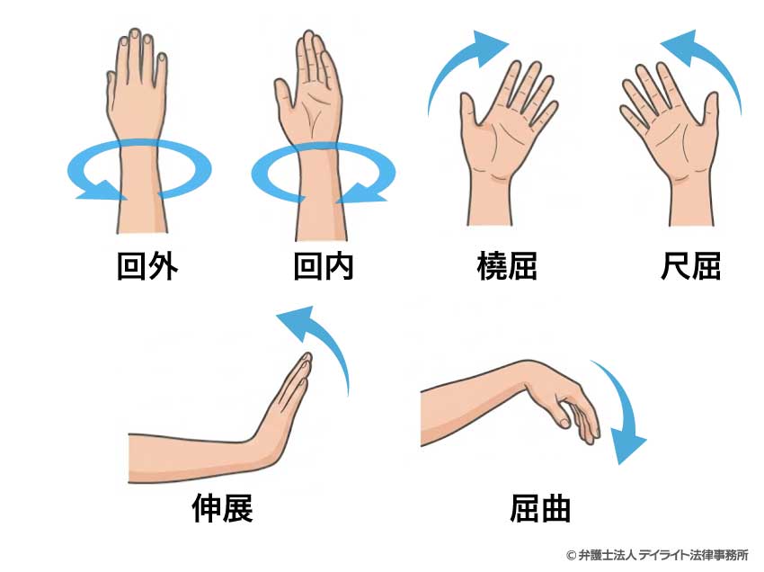 手首の動き