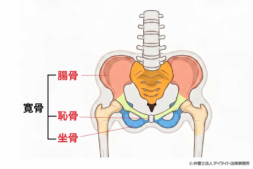 寛骨