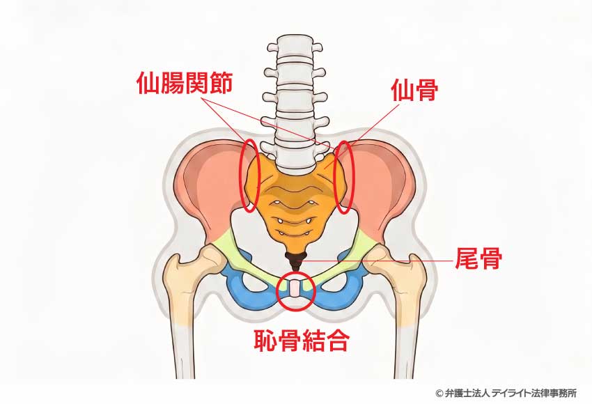 寛骨の定義