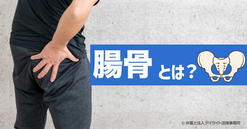 腸骨とは