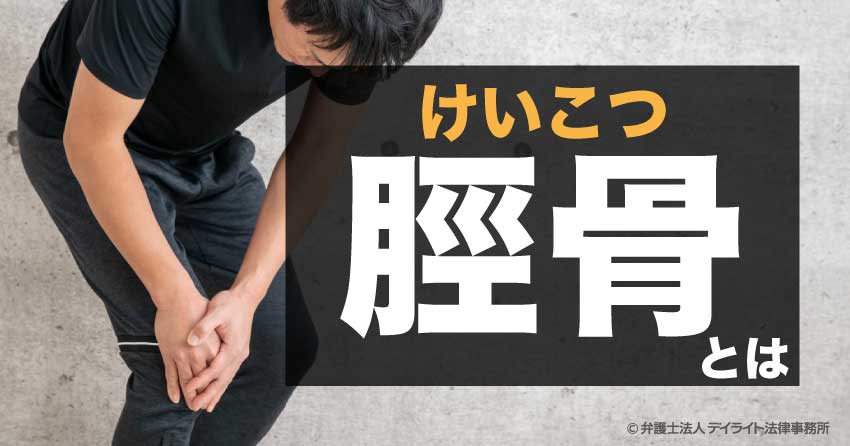 脛骨とは