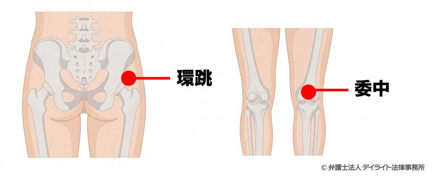 「環跳」「委中」