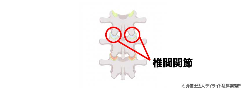 椎間関節