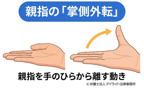 親指の「掌側外転」
