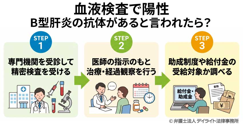 血液検査で陽性｜B型肝炎の抗体があると言われたら？
