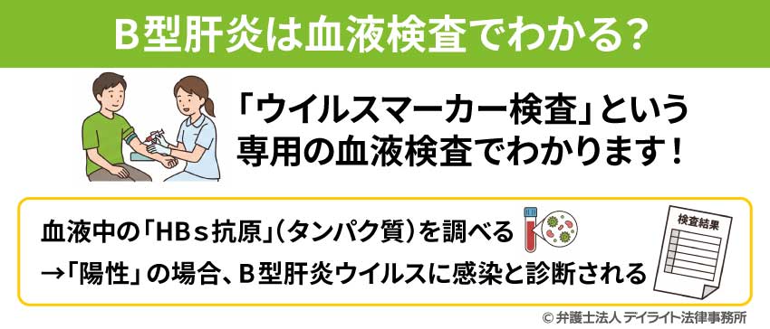B型肝炎は血液検査でわかる？