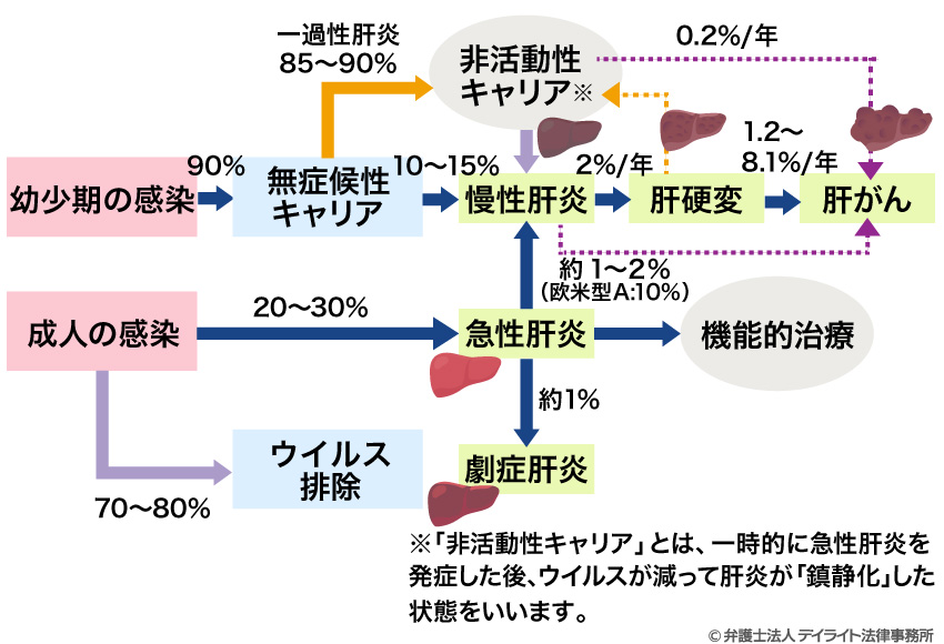 B型肝炎の無症候性キャリアのイメージ