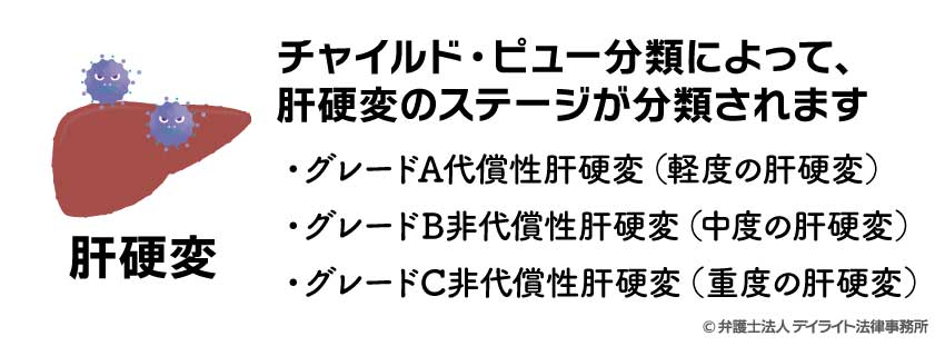 肝硬変の分類