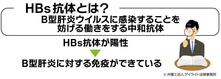 HBs抗体とは