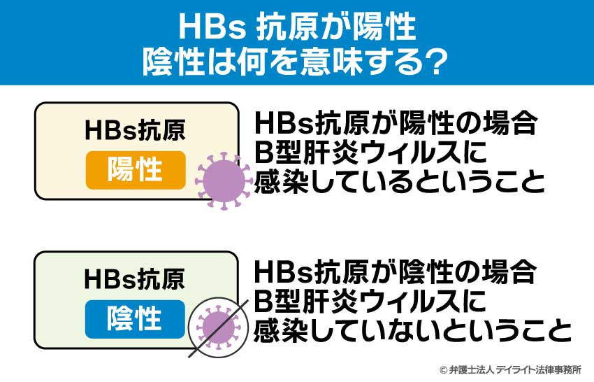 HBs抗原が陽性・陰性は何を意味する？