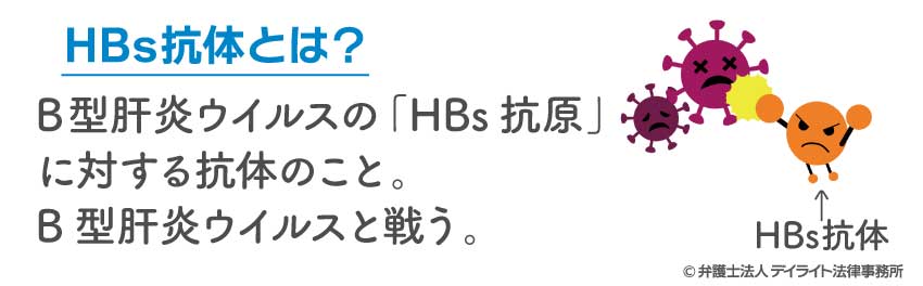 HBs抗体とは？