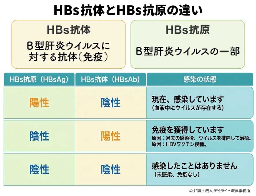 HBs抗体とHBs抗原の違い
