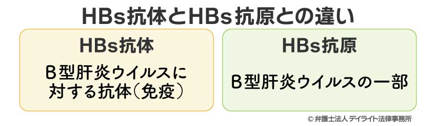 HBs抗体とHBs抗原との違い