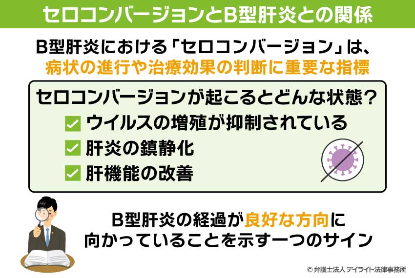 セロコンバージョンとB型肝炎との関係