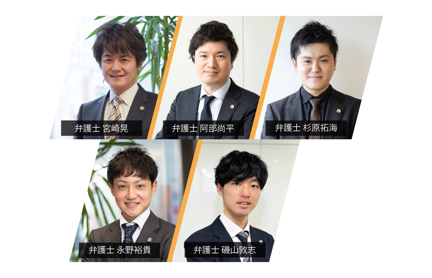 弁護士チーム集合写真