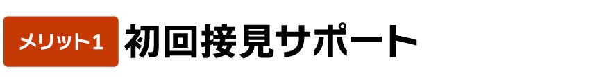 初回接見サポート