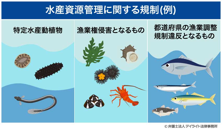 水産資源管理に関する規制(例)