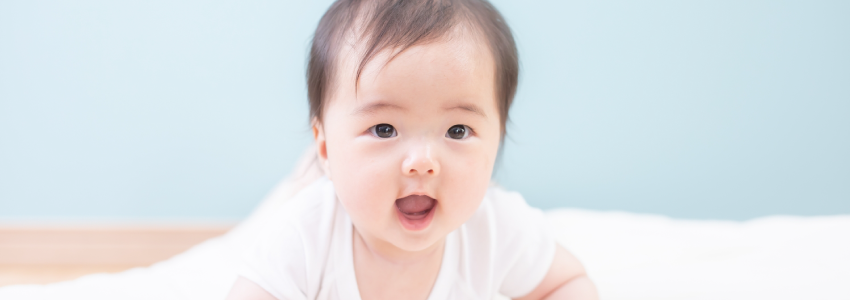 養育費や婚姻費用のサポート