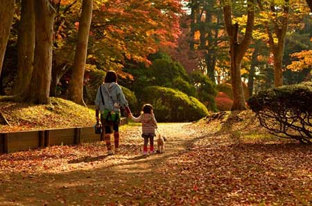 母子の淋しいイメージ画像