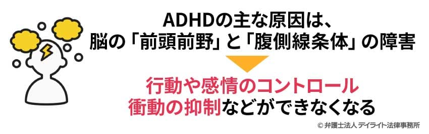 ADHDの主な原因