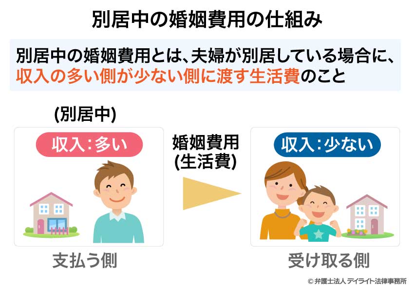 別居中の婚姻費用の仕組み