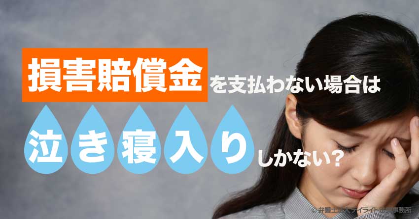 損害賠償請求を支払わない場合は泣き寝入りしかない？