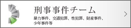 刑事事件チーム
