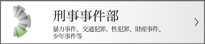 刑事事件チーム